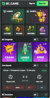 Explore the World of BC.Game Crypto Casino